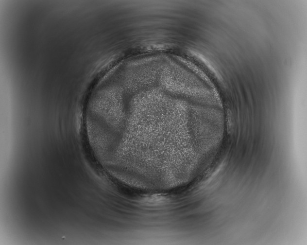 X0000093430451200711091438