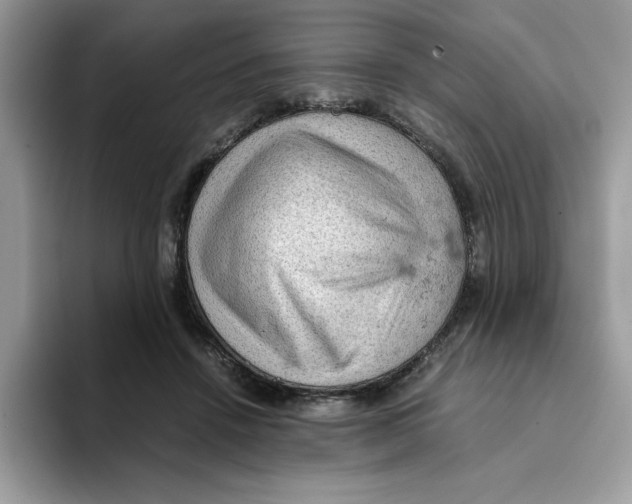X0000093430456200711091439