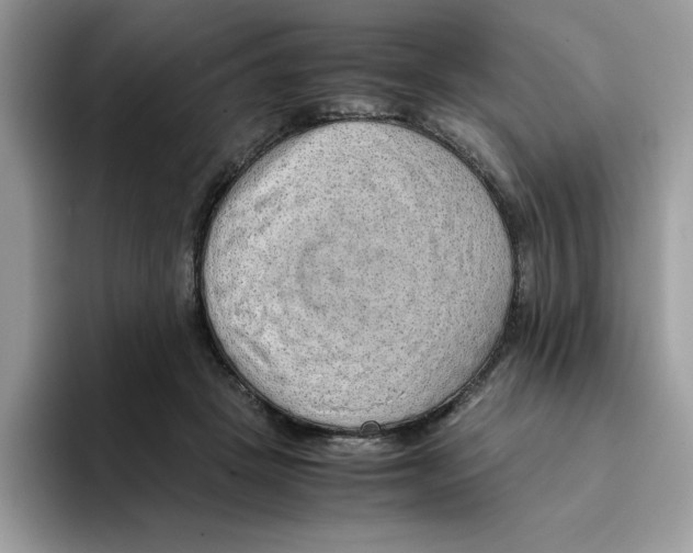 X0000093430457200711091439