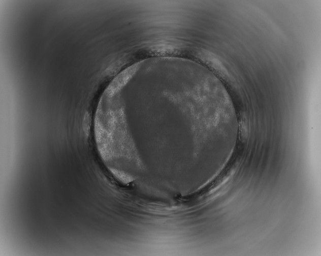 X0000093430458200711091439