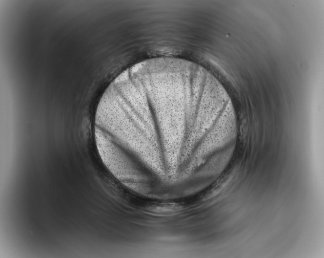X0000093430459200711091439