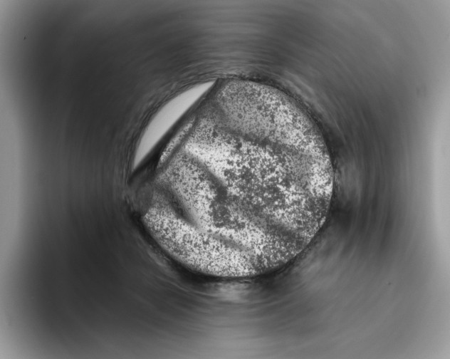 X0000093430462200711091439