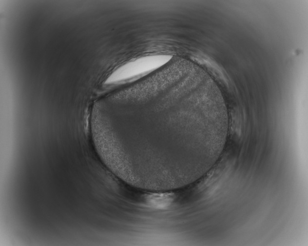 X0000093430465200711091439