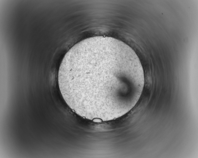 X0000093430468200711091439