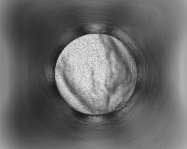 X0000093430469200711091439