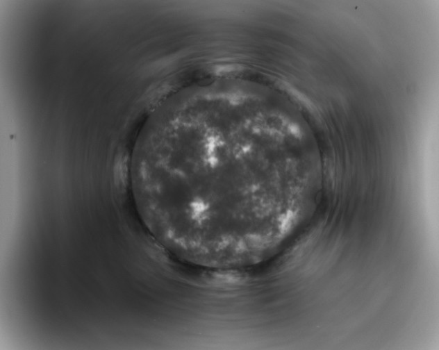 X0000093430475200711091439