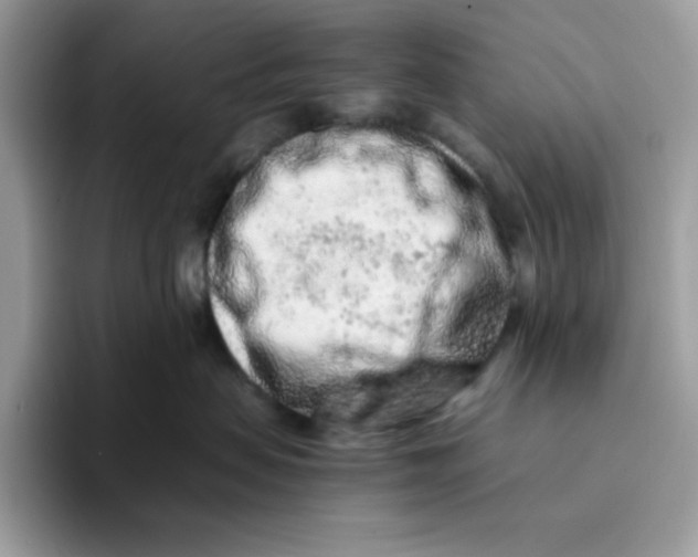 X0000093430479200711091439