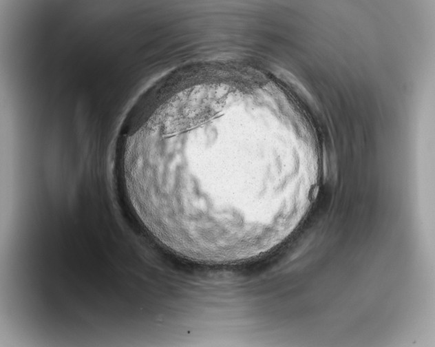 X0000093430483200711091438