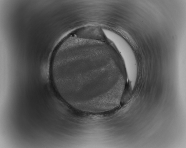 X0000093430484200711091438