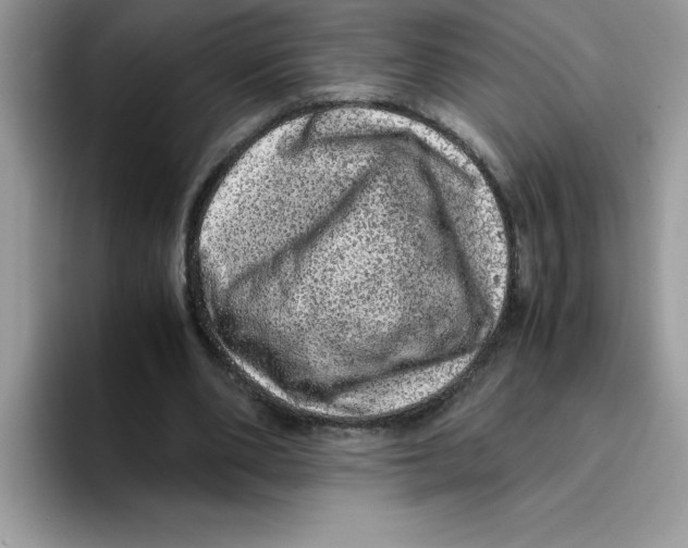 X0000093430486200711091438