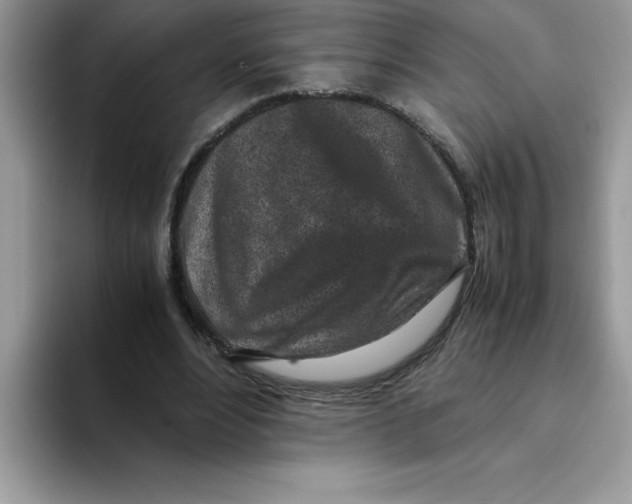 X0000093430488200711091438