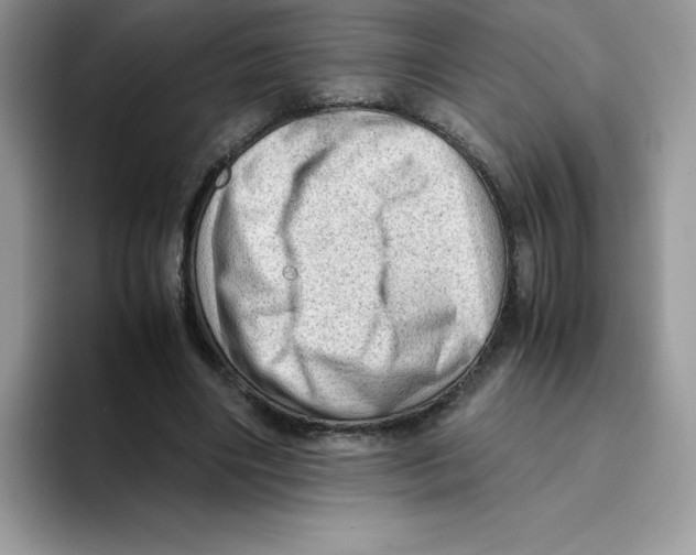 X0000093430490200711091438
