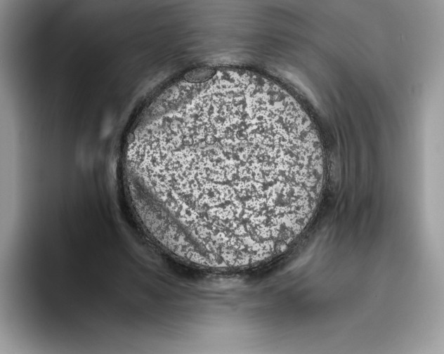 X0000093430491200711091438