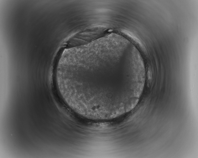 X0000093430492200711091438