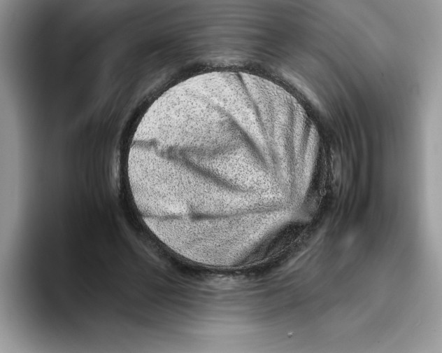 X0000093430494200711091438