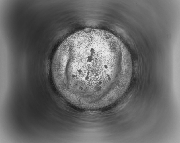 X0000093430495200711091438