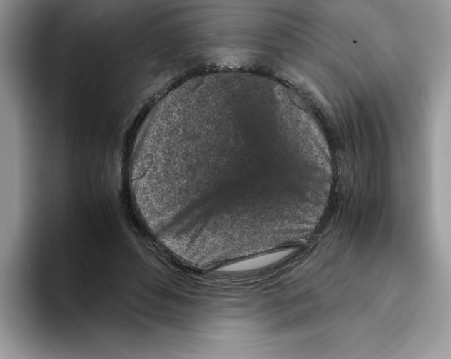 X0000093430496200711091438
