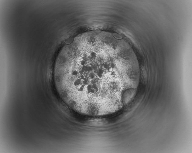 X0000093430499200711091438