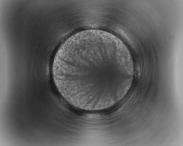 X0000093430500200711091438