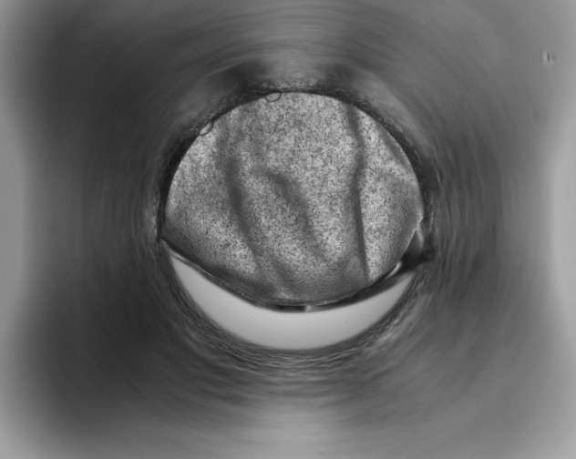 X0000093430501200711091438