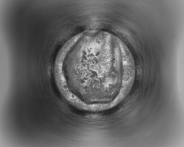 X0000093430503200711091438