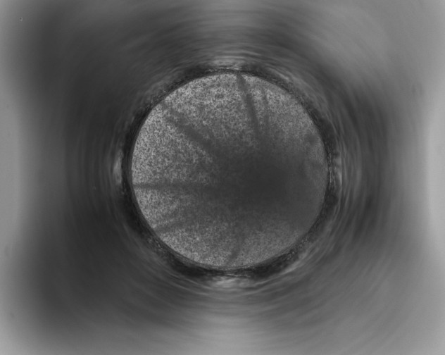 X0000093430504200711091438