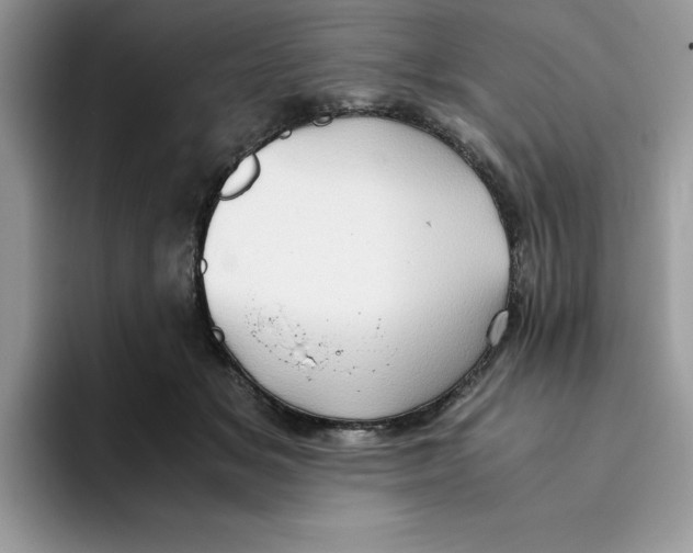 X0000093430509200711091438