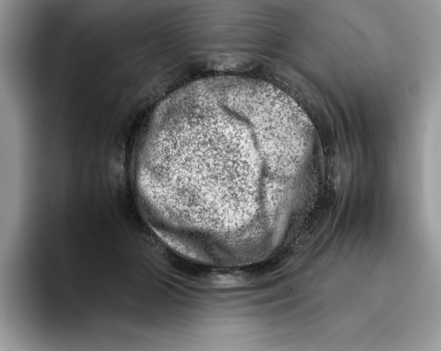 X0000093430510200711091438