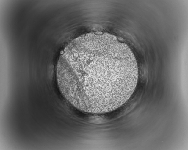 X0000093430511200711091438