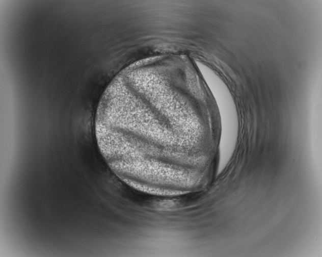 X0000093430513200711091438