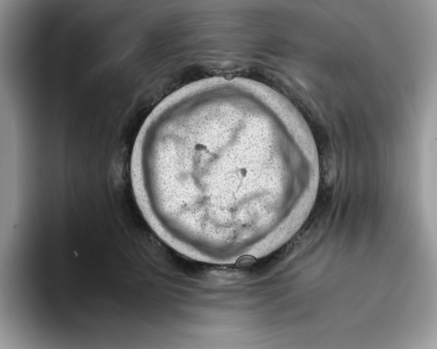 X0000093430515200711091438