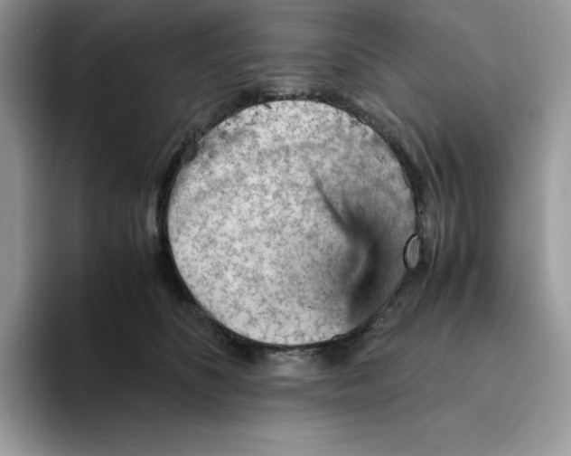 X0000093430516200711091438