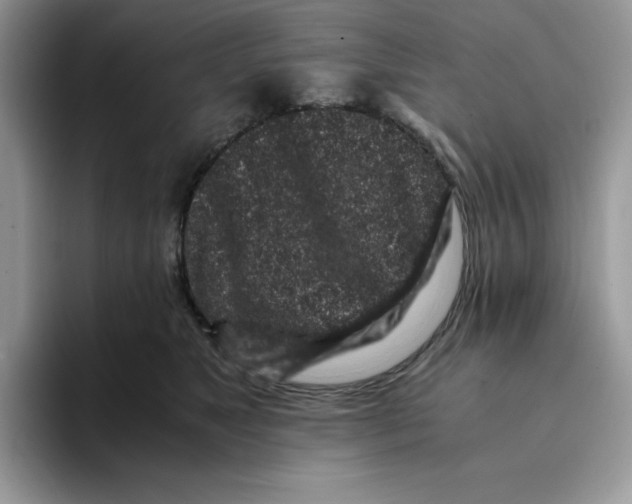 X0000093430517200711091438