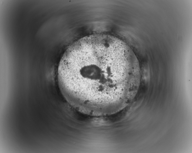 X0000093430519200711091438