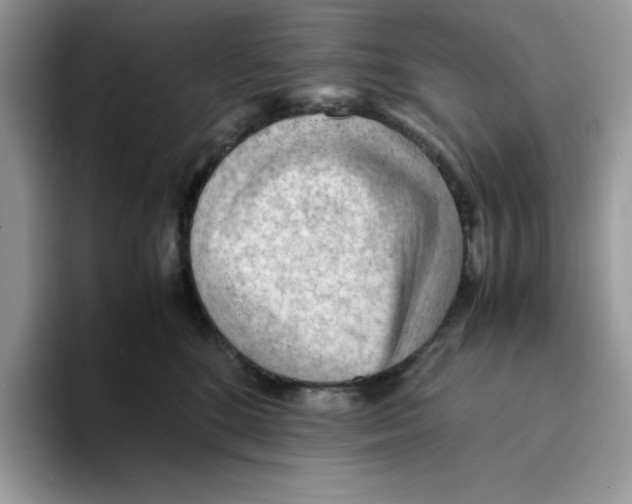 X0000093430520200711091438