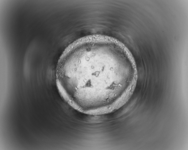 X0000093430527200711091438