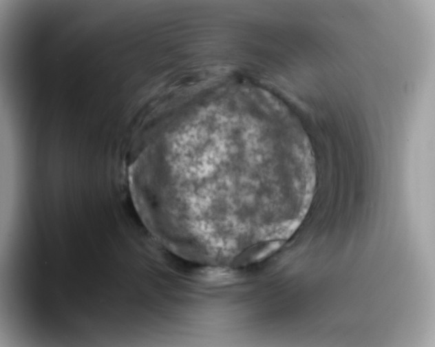 X0000093430528200711091438