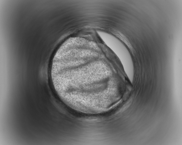 X0000093430530200711091437