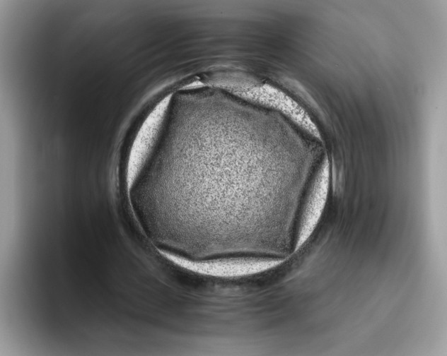 X0000093430531200711091437