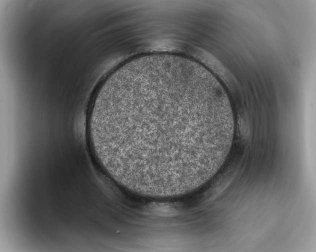 X0000093430534200711091437