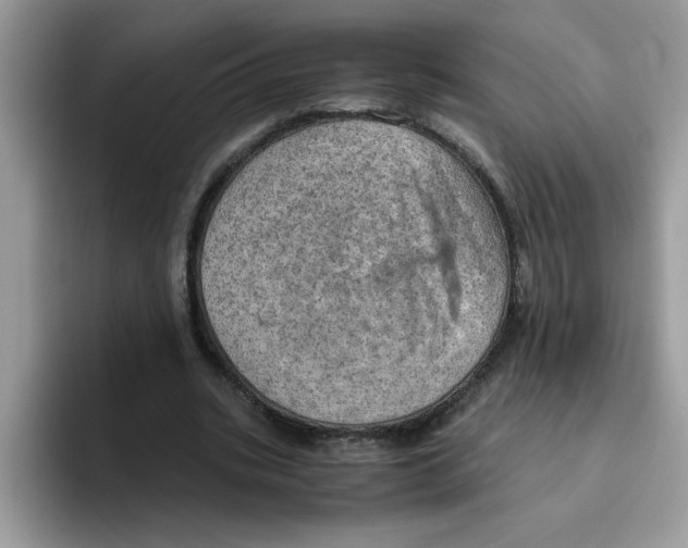 X0000093430535200711091437