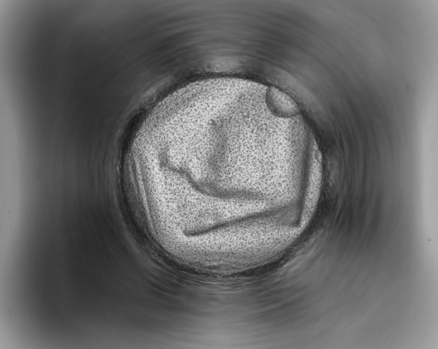 X0000093430542200711091437