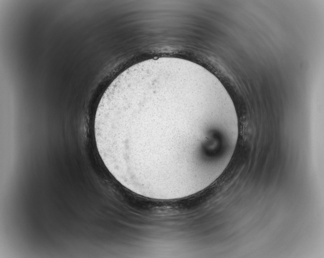 X0000093430544200711091437
