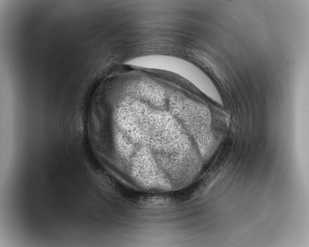 X0000093430546200711091437