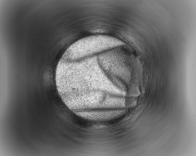 X0000093430547200711091437