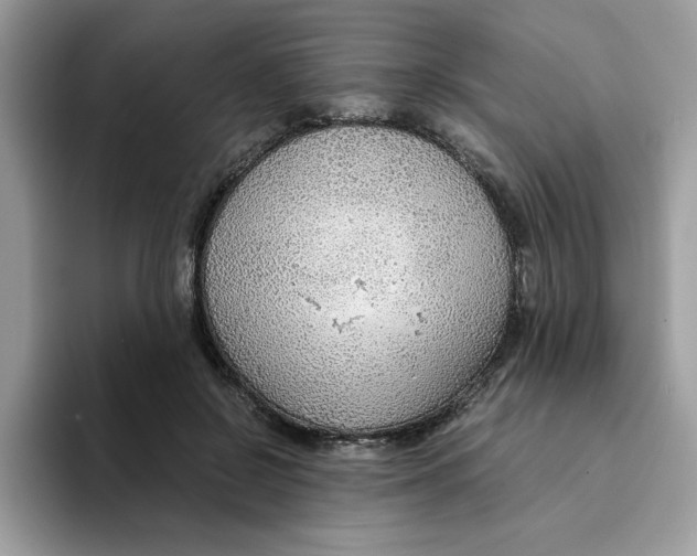 X0000093430550200711091437