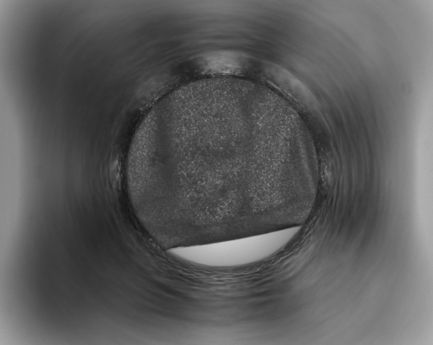 X0000093430551200711091437