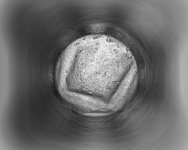 X0000093430553200711091437