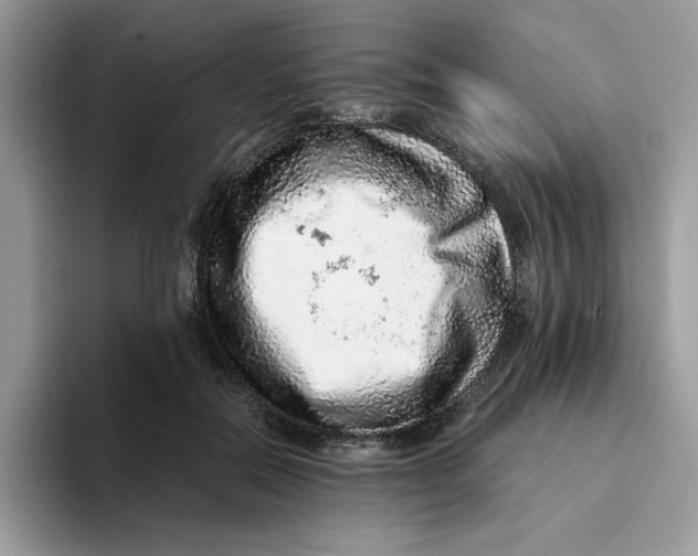 X0000093430554200711091437