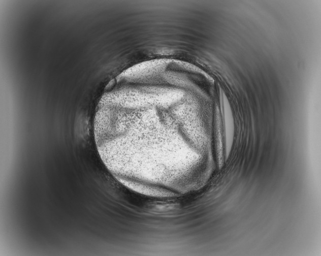 X0000093430555200711091437